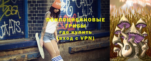 а пвп мука Дмитриев